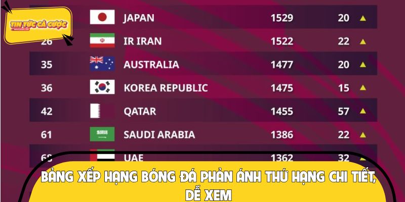 Bảng xếp hạng bóng đá phản ánh thứ hạng chi tiết, dễ xem