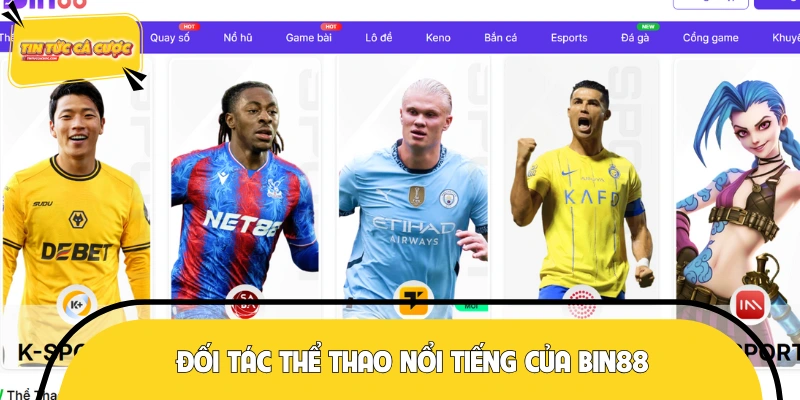 Tổng hợp các nhà cung cấp thể thao của BIN88