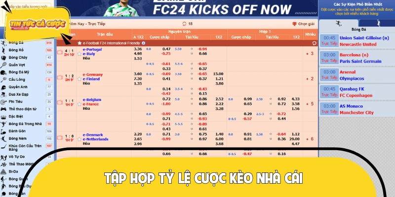 Trên thị trường đang có những loại kèo nào thị hành?